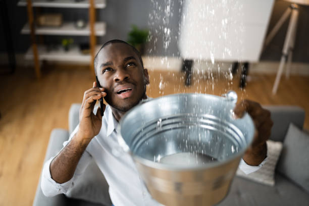 Best Flood restoration services  in Delmar, MD