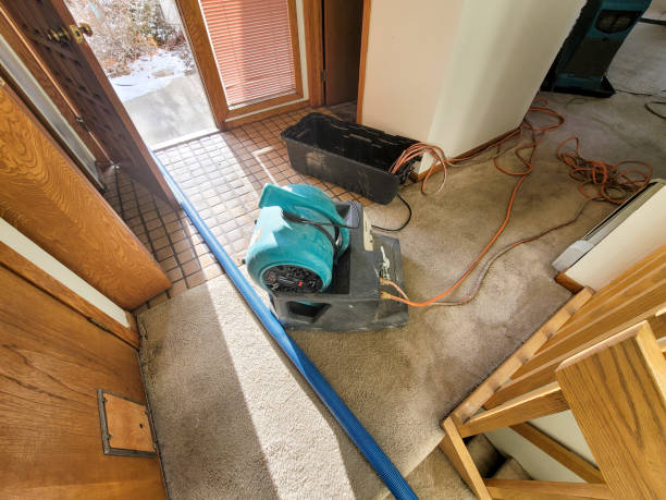 Best Flood damage cleanup  in Delmar, MD