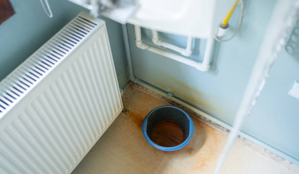 Delmar, MD Water damage restoration Pros