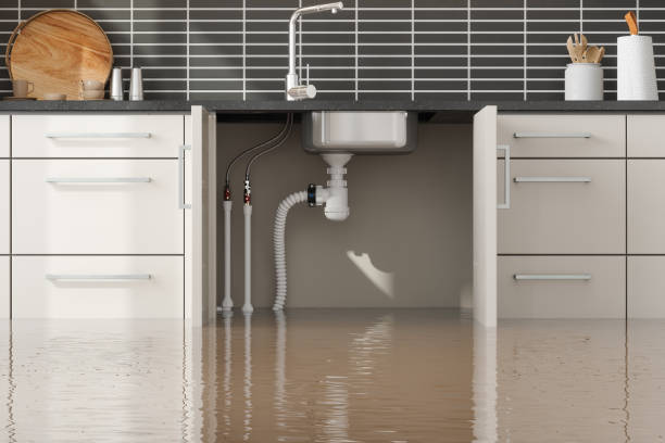 Best Commercial water damage restoration  in Delmar, MD
