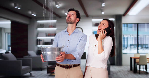 Best Ceiling water damage repair  in Delmar, MD