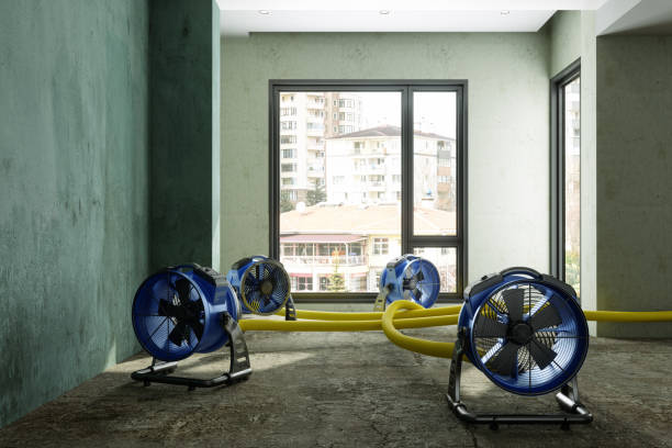 Best Professional water damage repair  in Delmar, MD